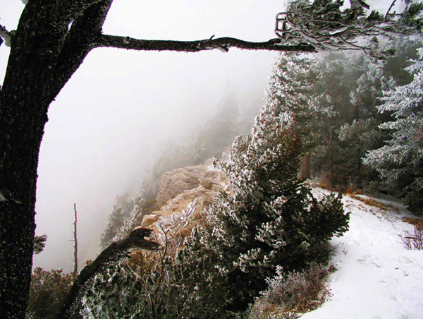 Sandia Crest in Winter Storm.