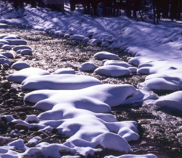 Snow Covered Boulders in the Dolores River.
