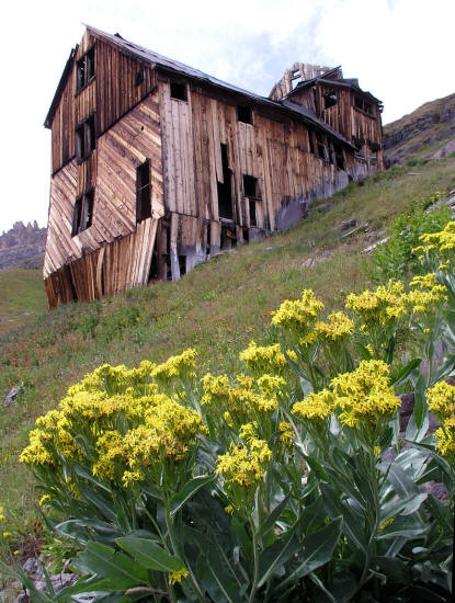 Mountain Top Mine and Yellow Wildflowers