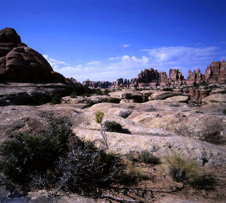 Canyonlands Needles District