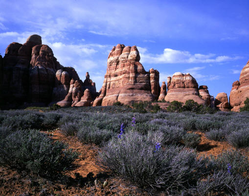 Canyonlands Needles District