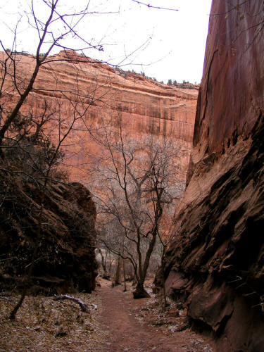 Long Canyon mini-slot canyon