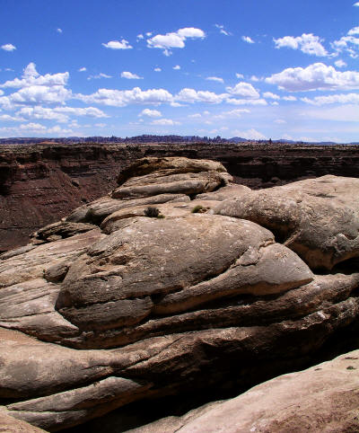 Salt Creek Confluence - Canyonlands Needles District