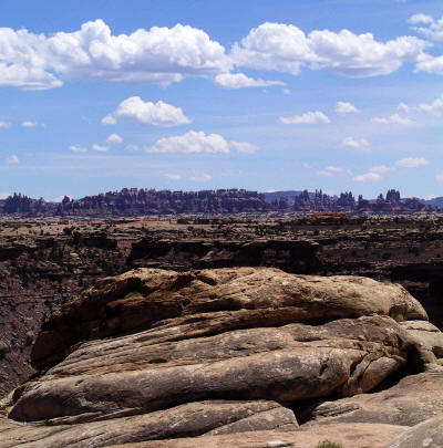 Salt Creek Confluence - Canyonlands Needles District