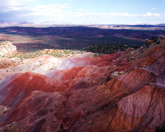 Chinle formation along Burr Trail