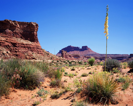 Gunsight Butte