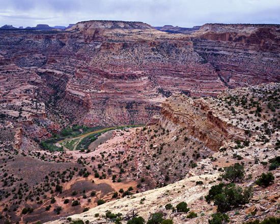 Wedge Overlook