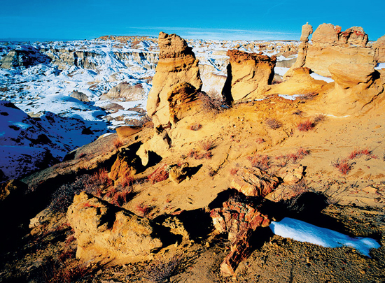 Sandstone Hoodoos in Bisti Badlands