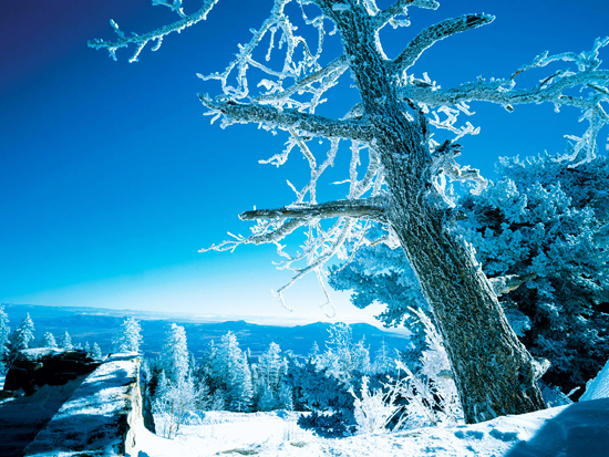 Snow on the Sandia Crest