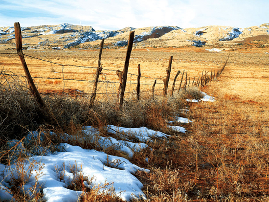 Comb Ridge