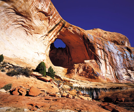 Bow Tie Arch