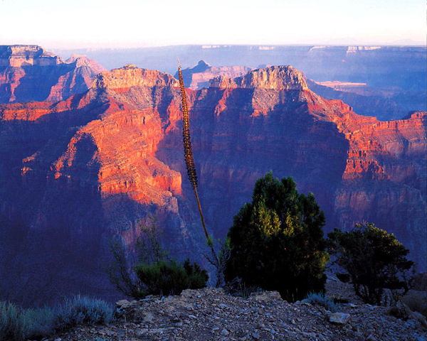 Point Sublime at Sunset.