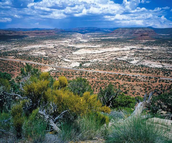 Morman Tea and Cheesebox Canyon.