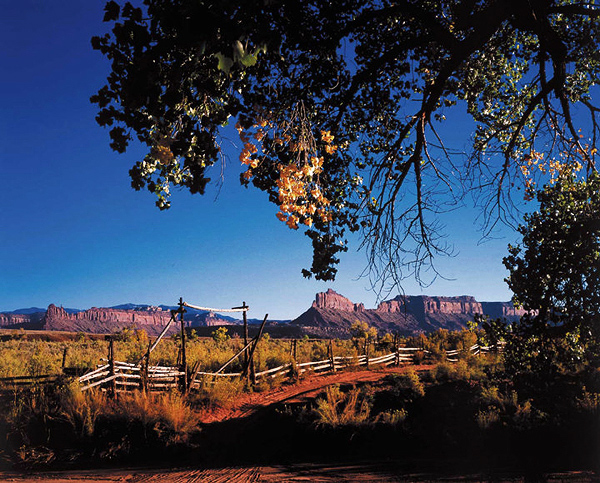 Corral in Davis Canyon.