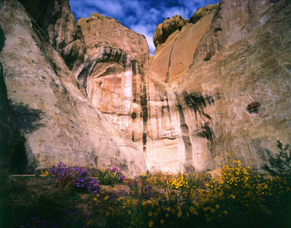 El Morro Spring.