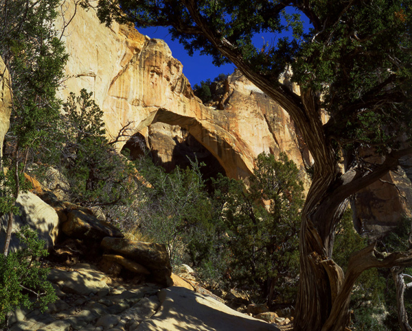 LaVentana Arch.