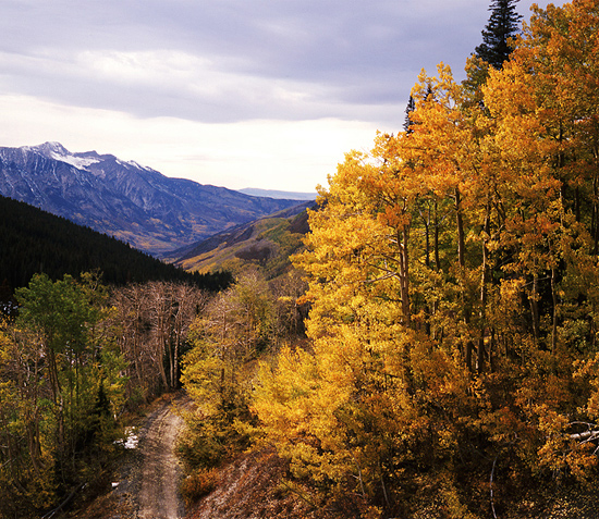 Fall Color on Alabama Mountain.