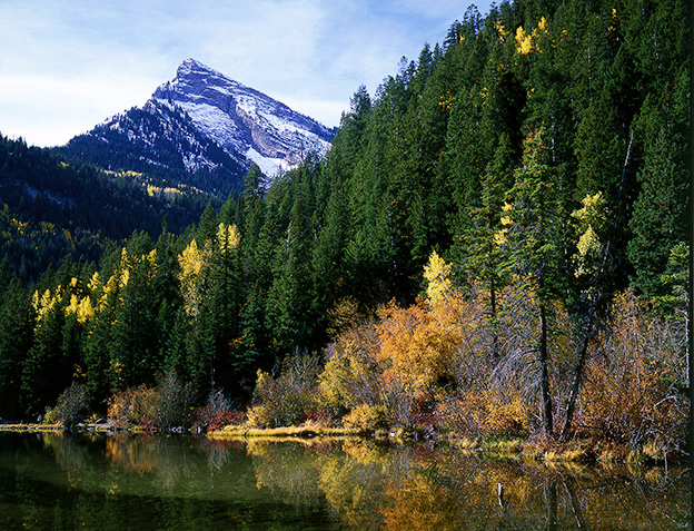 Lizard Lake.