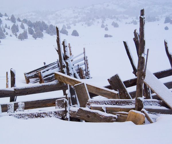 Corral in Winter