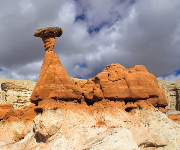 March 2011 Sandstone Toadstools