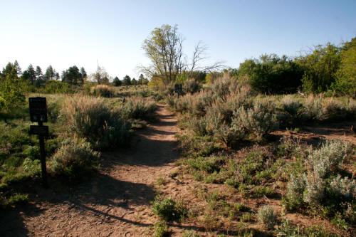 Wildcat Canyon Trailhead