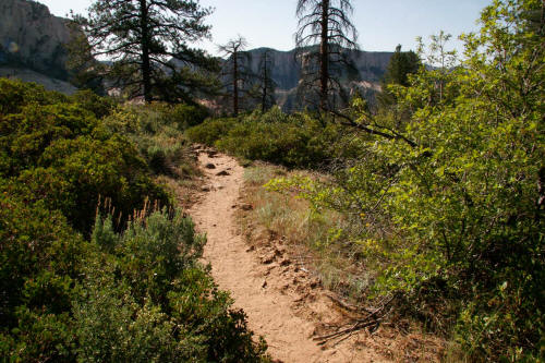 Subway Approach Trail