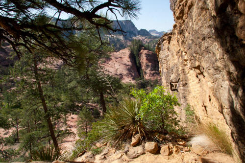 Subway Approach Trail