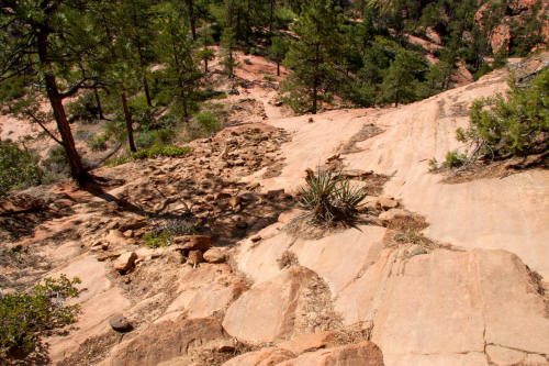 Subway Approach Trail