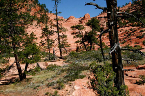 Subway Approach Trail