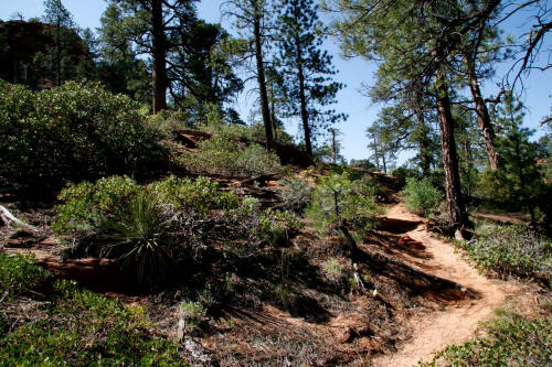 Subway Approach Trail