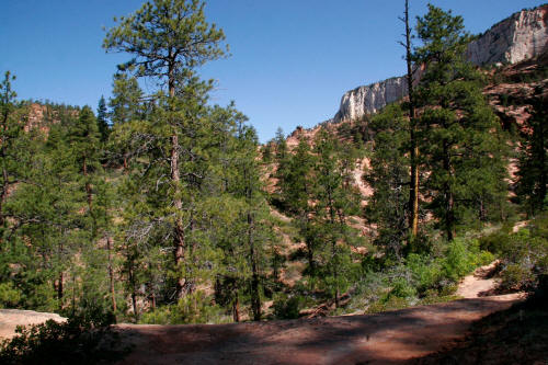 Subway Approach Trail