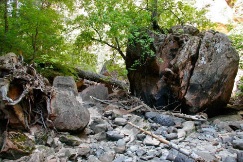 Left Fork North Creek