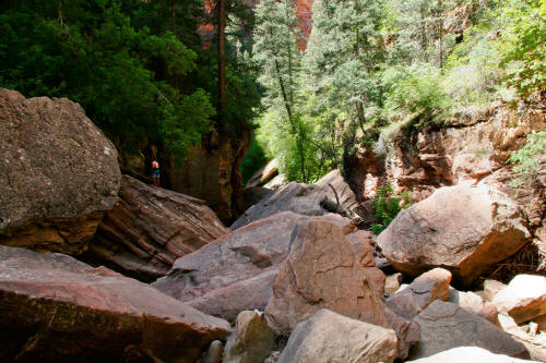 First Obstacle - Left Fork North Creek