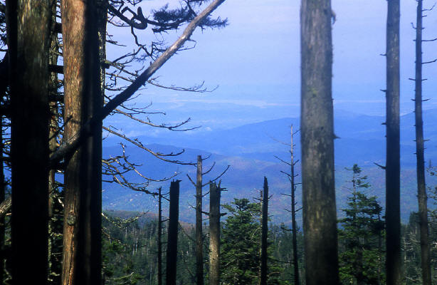 Appalachain Trail