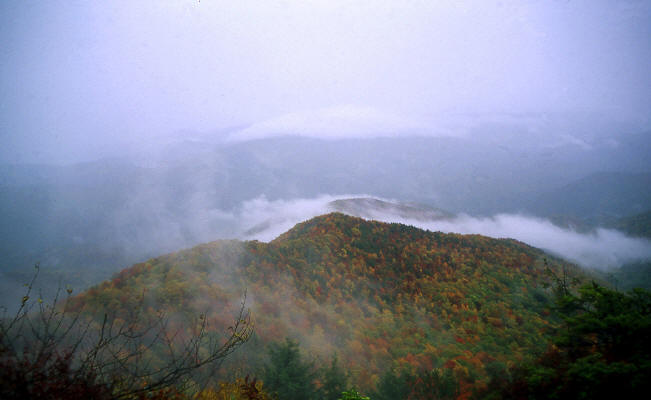 Appalachain Trail near Big Creek Ranger Station