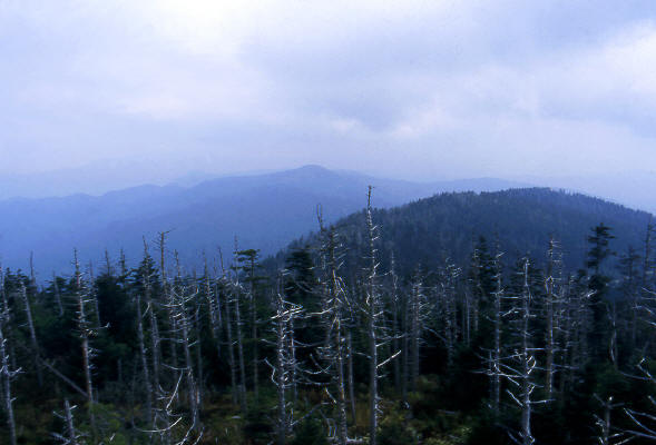 Clingman's Dome