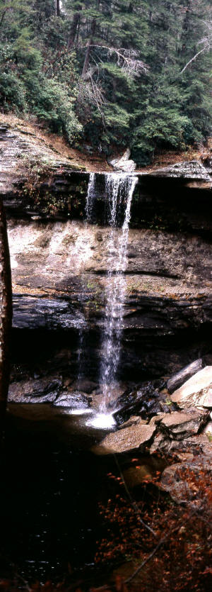 Greeter Falls