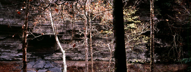 Greeter Falls plunge pool