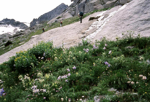 West side shelf above Black Lake