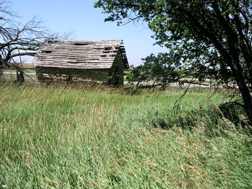 Abandoned Farmstead