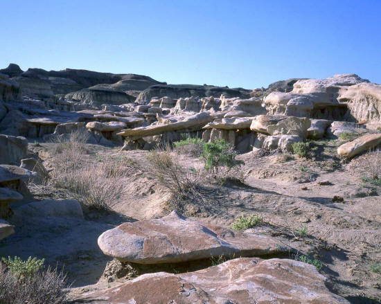 Bisti Badlands