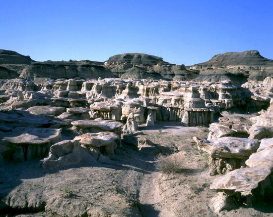 Bisti Badlands