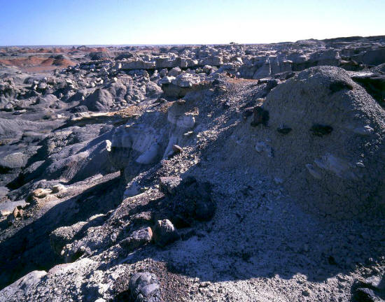 Bisti Badlands