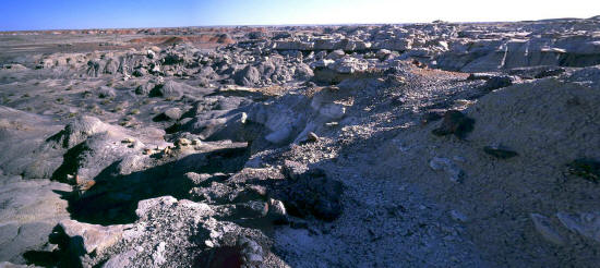 Bisti Badlands