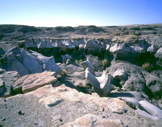 Bisti Badlands