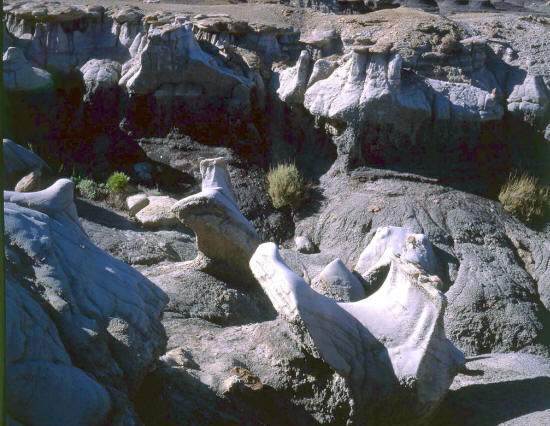 Bisti Badlands