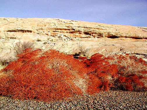 Comb Ridge