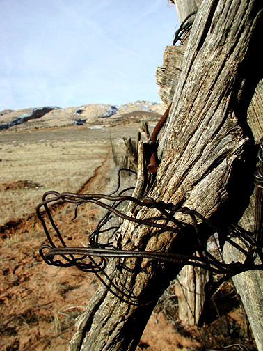 Barbed wire fence Lower Butler Wash Road