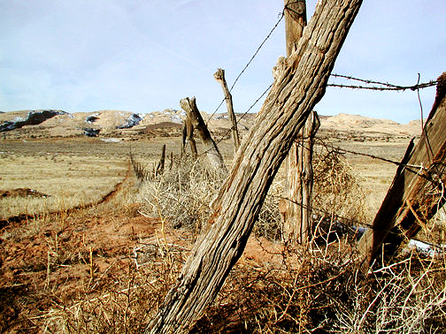 Barbed wire fence Lower Butler Wash Road