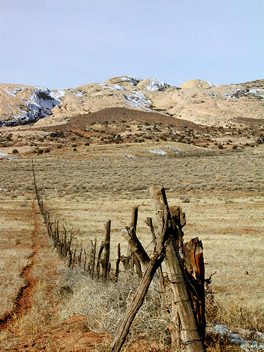 Barbed wire fence Lower Butler Wash Road